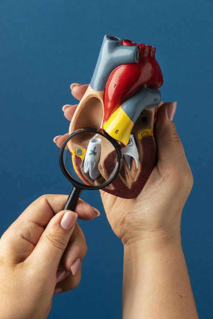 4 enfermedades del corazón que hacer