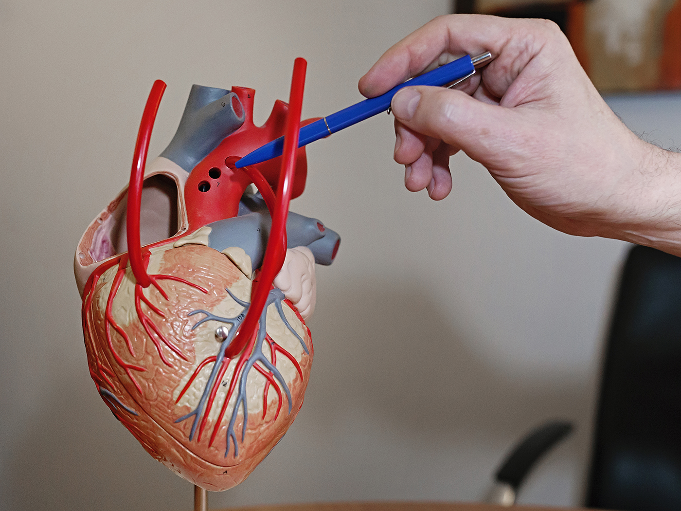 que hace un electrofisiologo