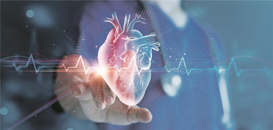 médicos electrofisiólogos