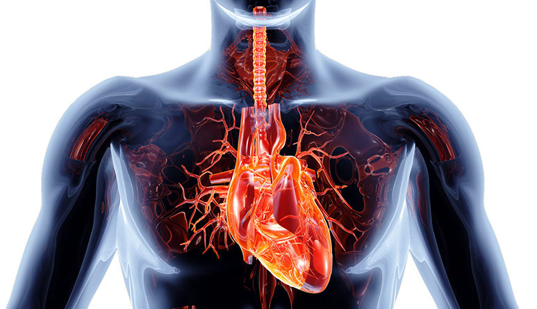 cierre de orejuela indicaciones