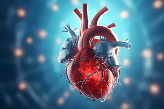 cardiologo arritmias