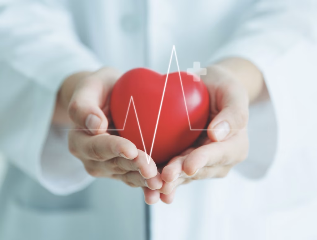 electrofisiología como se realiza