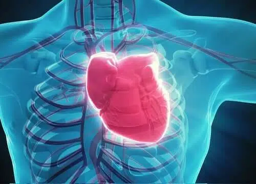 electrofisiologia del corazon