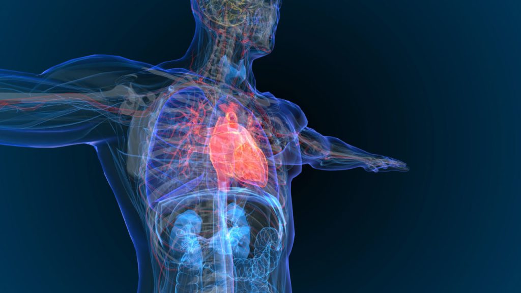  ablacion cardiaca como se hace