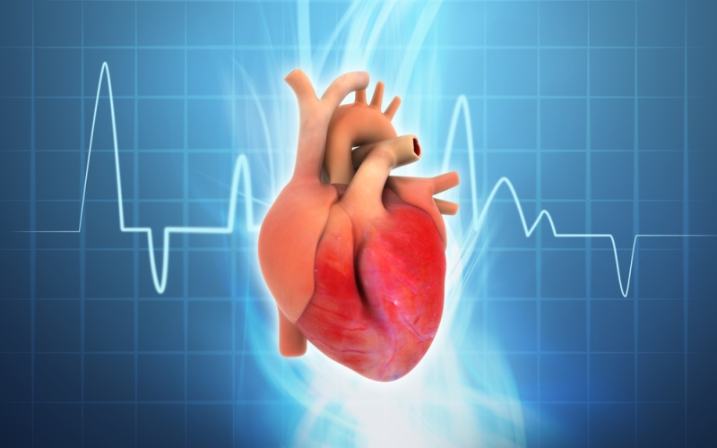 cardiologia electrofisiologia