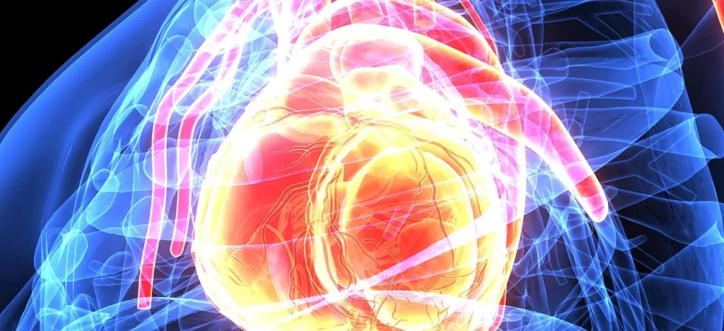 que es la ablacion cardiaca
