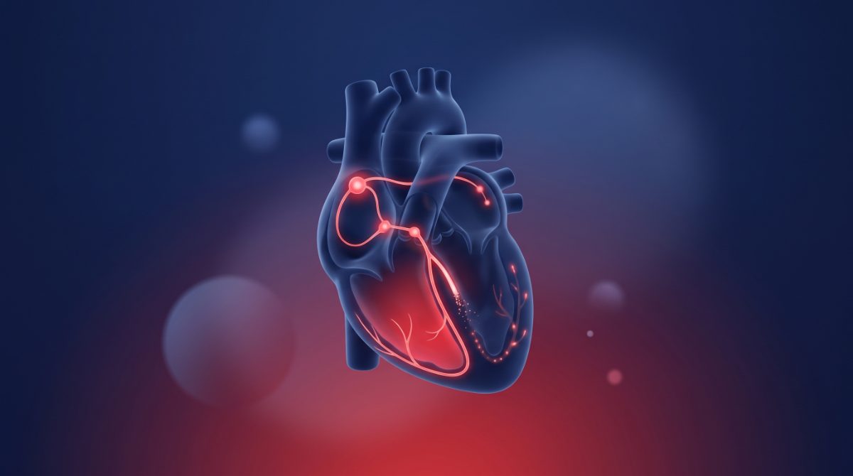 Bloqueo completo de rama izquierda del haz de His y alteración de la conducción eléctrica del corazón